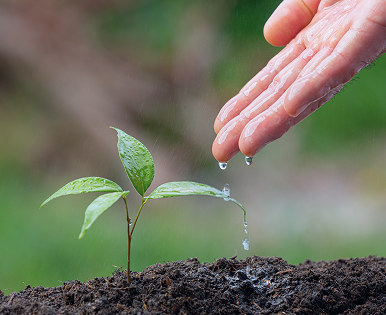 Certificates-of-Deposit (2)